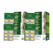 내츄럴플러스 스트레스 엔 테아닌 L테아닌 효능 수면 유도제 영양제 600mg x 60정, 4개(4개월)