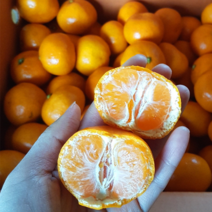 산지직송 제주 고당도 하우스 타이벡 노지 감귤 중대과(L-2L) 1박스 10kg