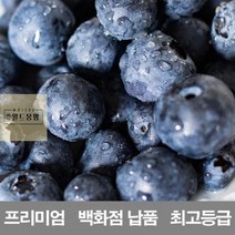 저장_영화청과_백화점_시세_보관_납품_수입산_냉동_재배_프리미엄_생_블루베리_400g BA31, 상세페이지 참조