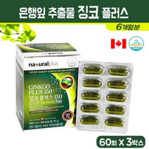 은행잎 추출물 징코 플러스 혈행개선 징코빌로바 플라보놀 배당체 비타민D 비타민B 아연 수험생 청소년 중장년 영양제 건강 기능식품, 3통, 60정