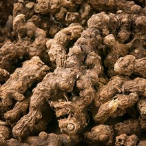 삽주뿌리(창출) 600g 삽주 차 효능 한방재료 한약재 약초, 133I_삽주뿌리(창출) 600g