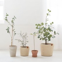 룸앤홈 네이처 로프 화분커버 M/L, M (H 170mm)