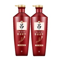 아모레퍼시픽 모근모발케어 려 홍진단 홍삼샴푸 820mlx2입(1세트) 홍삼한방샴푸, 2개, 820ml