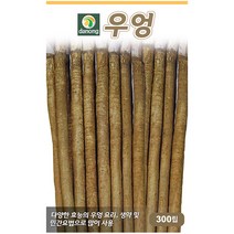 다농 산천 왕까마중 50립 - 씨 씨앗 까마중씨앗 까마중씨 강태 깜두라지 용규 나물씨앗 민속채소 채소씨 채소씨앗, 09_다농_우엉(300립)