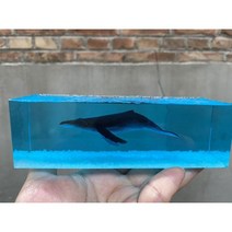 고래 조명 감성 수면등 인테리어 침실 무드등 바다 취침등 분위기, B