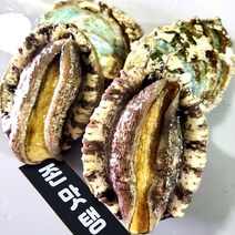 전라남도 완도 산지직송 활 전복 1kg, 1kg 25미