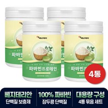 비건 베지테리안 단백질 파바빈 잠두콩 아피게닌 추천 4통 비움샵 채식주의자 프로틴 보충제 이눌린 엘도파 함유