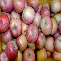 주왕산털보네 쥬스용사과 9kg 내외(흠과), 1개