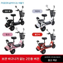 전기자전거 세발 3륜 삼륜 노인 3륜전동스쿠터 전동 전기삼륜자전거 전기3륜자전거, 48V, 단구동모델리튬배터리무설치15A60km주행2인승