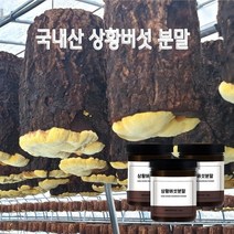 국내산 상황 버섯 분말 목질진흙버섯 뽕나무 상황버섯 가루 베타글루칸 효능, 3개, 100g