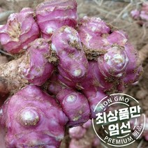 친환경 국산 무농약 말린 건돼지감자 500g, 상세페이지 참조, 상세페이지 참조