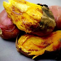 해남 고구마 꿀고구마 3kg 5kg 10kg, 대3kg, 1개