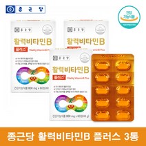 비타민B군 영양제 비타민B100 비타민비군 종근당 활력 비타민B 콤플렉스 복합제 수용성비타민 비오틴 - 왱이몰, 60정 3통