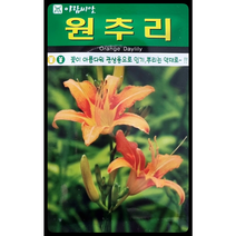 원추리 꽃씨앗30립 아람종묘