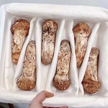 자연산 송이버섯, 1kg 1품