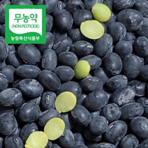 국산 무농약 서리태 검은콩 속청, 1kg