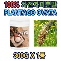 차전자피분말(파우더)100프로 300g 가루 식이섬유 선물 종합 코스트코 홈쇼핑 종합 추천 가성비 40대 50대 60대 70대 중년 노인 어르신 부모님 파우더 식품