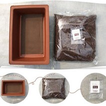 상추키우기 DIY키트 로메인상추 식물재배기