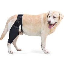 강아지 관절 영양제 관절약 보조제 LAMPTOP Dog Knee Brace for Dogs ACL Cap Dislocation Arthritis - Keeps The Joint W, [02] L