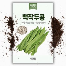 백 작두콩 씨앗 (10립), 1개