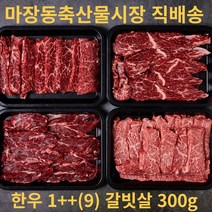 마장축산물시장 직배송 1++ 투쁠 마블링9 최상위등급 최상급 한우 특수부위 갈빗살 300g