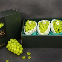 [AKMALL][미담] 샤인머스켓 선물세트 1호 2kg 3-4수, 색상:단일상품