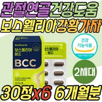 정우성 보스웰리아 가자 강황 복합물 관절 연골 건강 BCC 차세대 건강 기능 식품 식약처인증 허리 골반 무릎 무릅 손가락 발가락 40대 50대 60대 70대 80대 중년 노년 부모님 선물