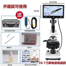 두피 검출기 카메라 현미경 얼굴 각질 피부 모발 진단, 10.1 인치 스크린 HDTV 컴퓨터 모델