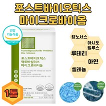 식약처인정 포스트바이오틱스 유익균 먹이 30포 신 프리 프로 포스트 아시도필루스 람노서스 여성갱년기 가세리 모유유래 락토바실러스 마이크로바이옴, 1통 1개월분