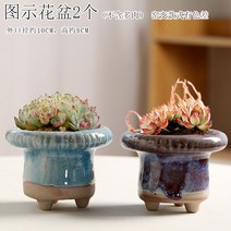 다육화분 다육이 심폴 화분 식물 미니 화분세트, 도자기, 옵션58