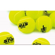 50개입 스타 테니스공 연습구