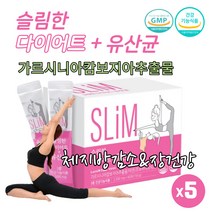 식약처인증 단기간 슬림 가르 가루 시니아 캄보디아추출물 다이어트 체 지방 분해 커트 상체살 아랫뱃살 빼기 유산균 Diet 분말 장 건강기능식품, 60포 X 5박스