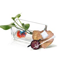 헬로아쿠아 베타사육 풀세트구성 유리어항 SH 20x10x10-알몬드잎, 단품