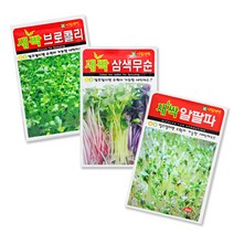 와이쇼핑 소독되지 않은 새싹씨앗 21종 새싹재배, 13)유채, 1개, 1개