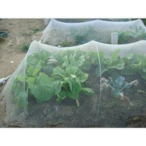 한냉사/방충망/폭1.8m 길이 80m -1롤
