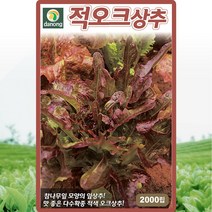 적오크상추2000립