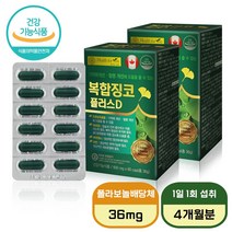 혈액 정맥 순환 개선제 영양제 캐나다 산 혈행 개선 징코 플러스 D 스프링리버 알약통 증정, 60캡슐 x 2박스 (4개월분)