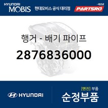 행거-배기 파이프 (2876836000) 그랜저XG 벨로스터 쏘나타 쏘나타EF 아토스 엘란트라 그레이스 베라크루즈 싼타페 테라칸 현대모비스부품몰