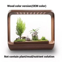 Wholesale Counter Top Starter Kits Plant Growing Indoor Hydroponics Herb Garden, 없음, wood-OEM+Medium