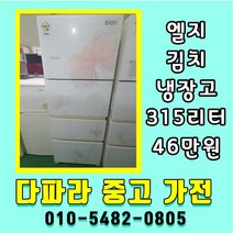 중고냉장고 김치냉장고 스탠드형 엘지디오스 315리터