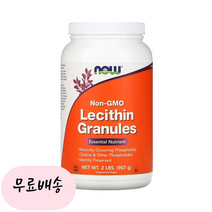 나우푸드 레시틴 과립제 907g 포스파티딜 콜린, 1개