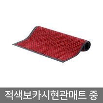 하하투게더 적색 보카시 현관매트 중 소독 발매트 현관 입구 발판, 1개