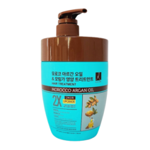 엘라스틴 모로코 아르간오일 앤더 모링가 트리트먼트 700ml, 1개