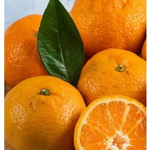 SJ1)영화청과 특급 제주도귤 1.5kg 청 만들기 노지, 영화청과 특급 제주도귤 1.5kg _옵션, 1개