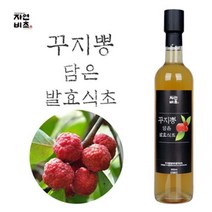 자연비초 당뇨에 좋은 자연 발효 꾸지뽕 식초 500ml, 본상품선택, 본상품선택