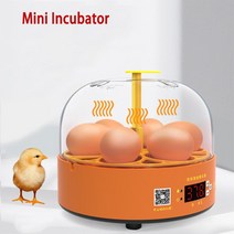 파충류 알 부화기 디지털 자동부화기 인큐베이터 테라리움 mini 6 egg incubator poultry incubator brooder 온도 부화장 계란 해처 치킨 오리 새, 밝은 회색