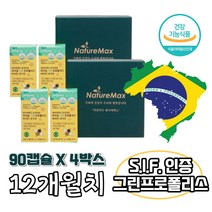 그린 프로폴리스 비타민C 아연 c 플러스 브라질 프리미엄 90캡슐x4박스 12개월치 항산화 유해산소억제 면역력 높이는 영양제 입냄새 제거 음식 알약 성인용 청소년, 2박스