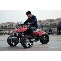 역삼륜오토바이 150cc 삼발이 역세 스쿠터 3륜 atv, 특별한 제안 작은 화성