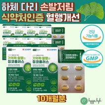 중년 여성 다리 손발저림 혈행개선 징코플러스 에너지생성 면역력 은행잎 추출물 나이아신 아연 판토텐산 은행추출물 징코 인지기능 기억력개선 60대 70대 여자 엄마 부모님 혈행관리