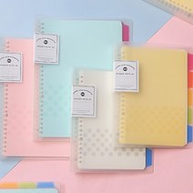 파스텔 스프링 바인더 20공 26공 A5 B5 반투명 다이어리 속지 링 인덱스, B5/26공 바인더 세트, 4-2. 26공 세트 핑크